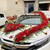 NOSHAHI MOTORS and TOUR'S image